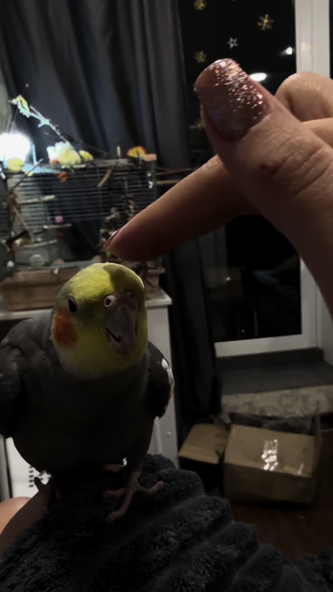 @𝓘𝓛𝓐𝓝𝓐 and Lelik