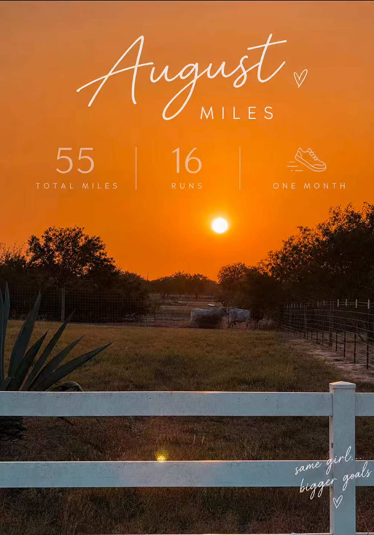 @Analilia | Average Runner