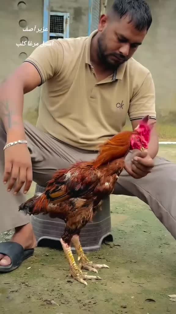@Harinder Rajput 🇮🇳