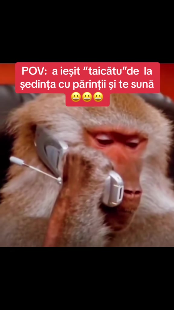 @flowbalcanic