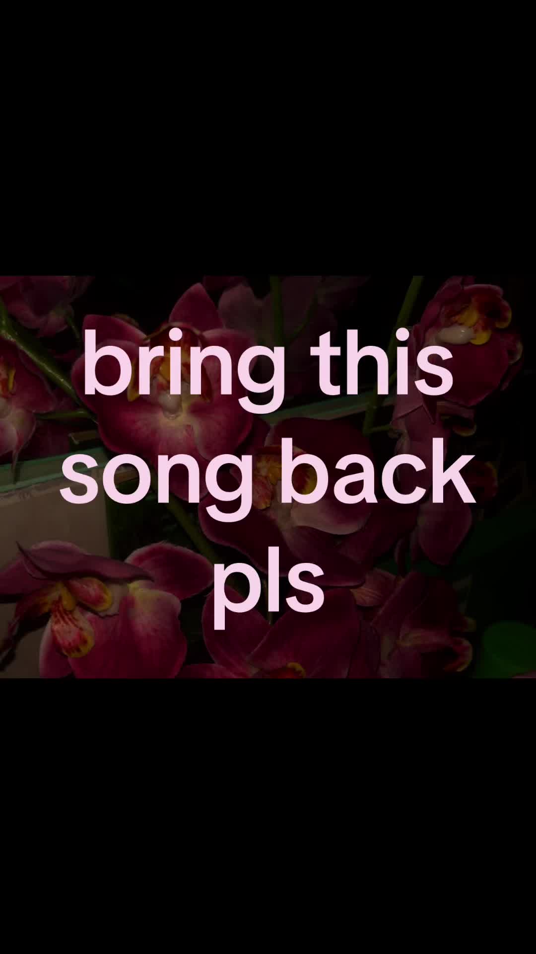 @z’🪽
