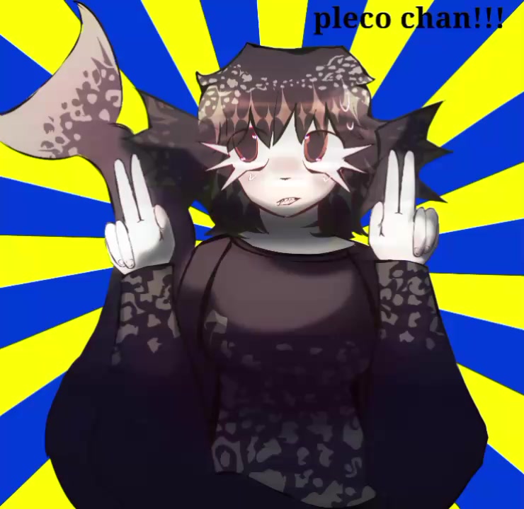 @✿𓆩༻▅▅▅▅༺𓆪✿