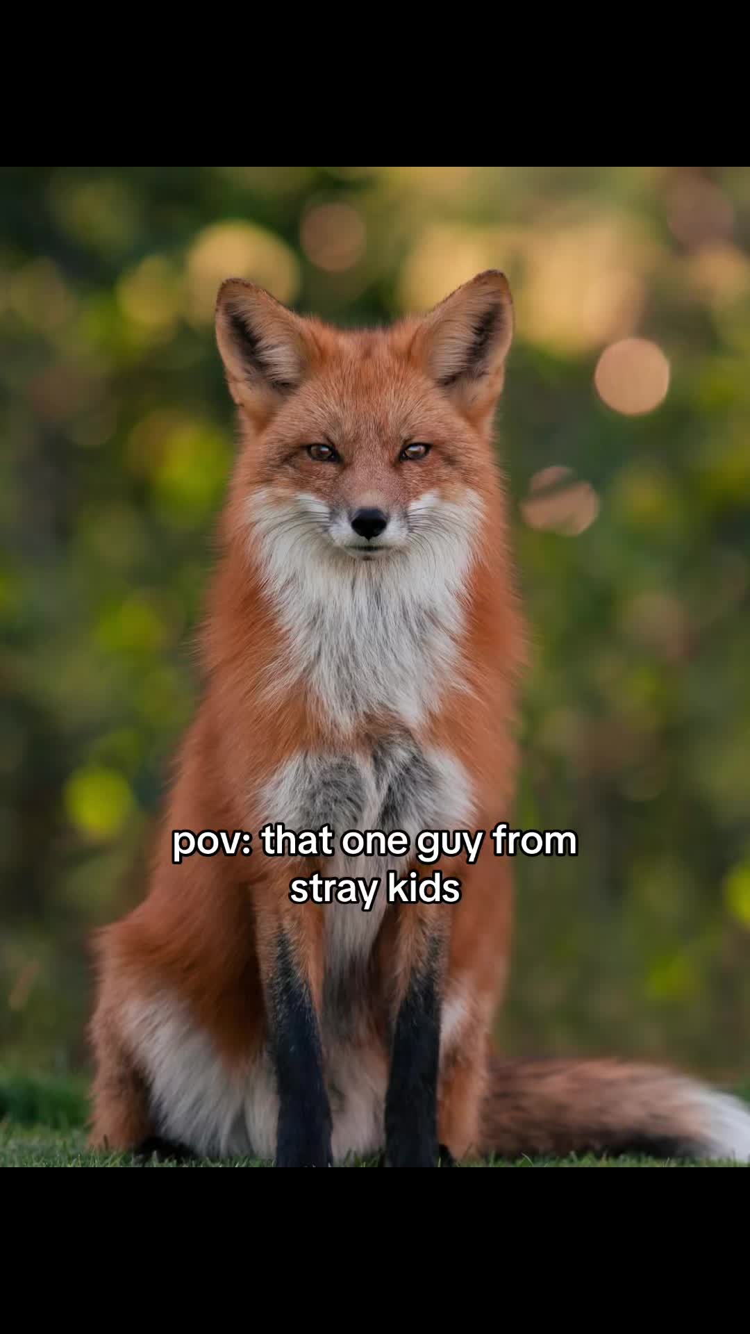 @k-pop