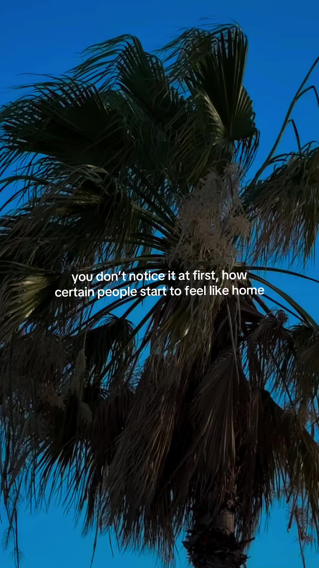 @georgie 🥶