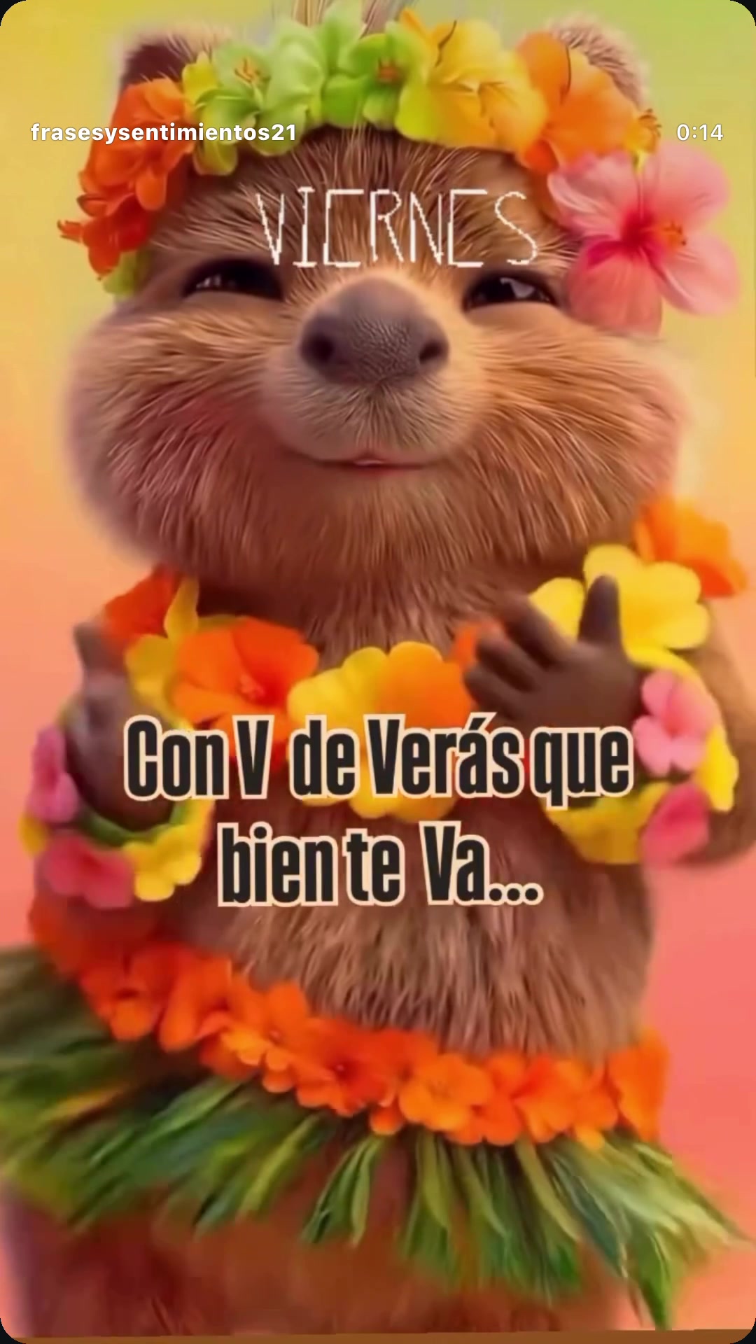 @JULIETTA AN