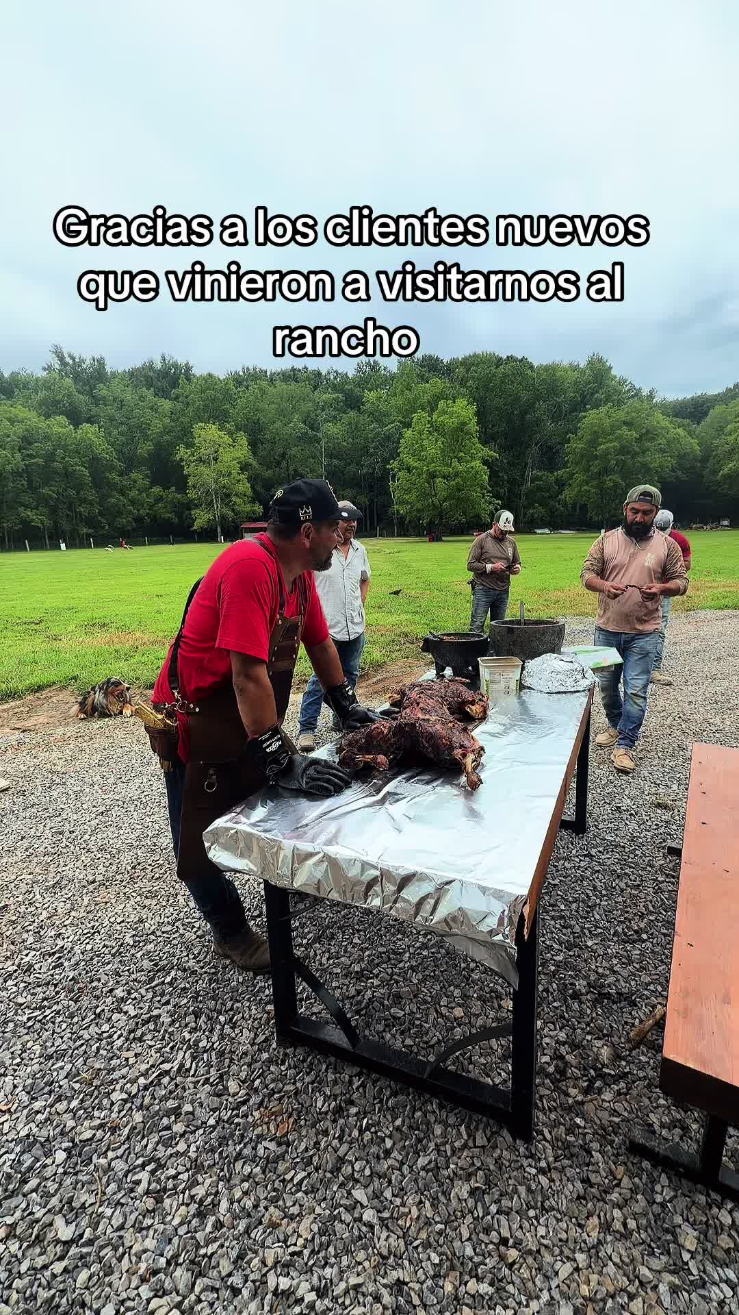 @Rancho El Puerquito Feliz 🐷