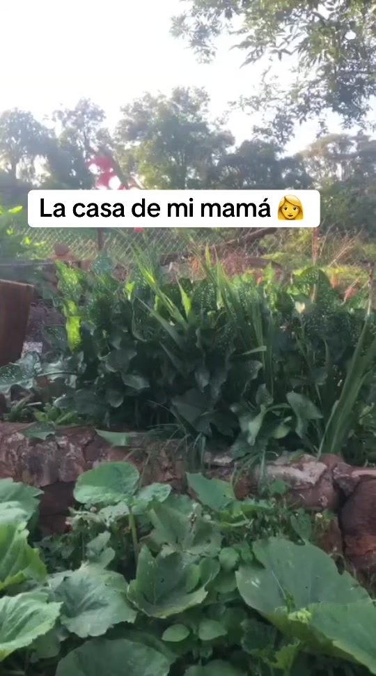 @🌷Caricia Bot&aacute;nica 🌷