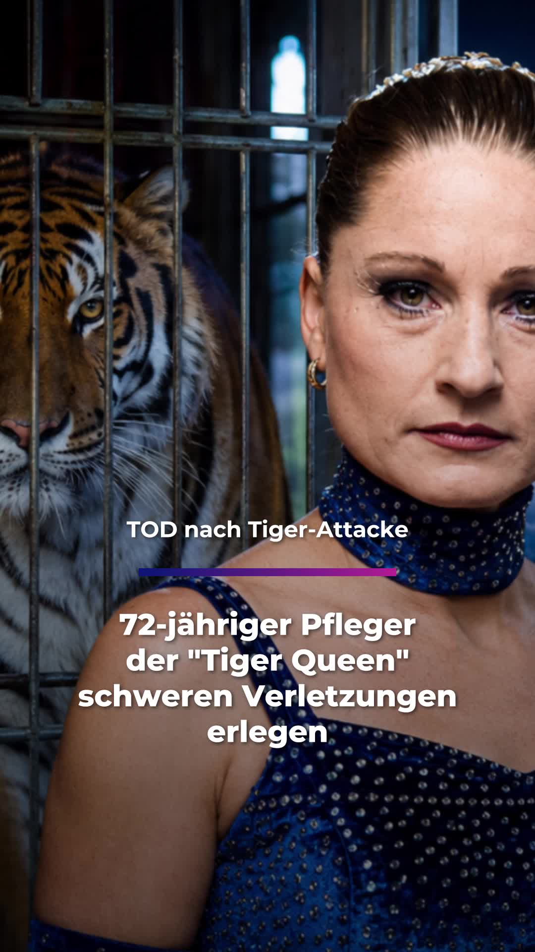 @Sachsen Fernsehen