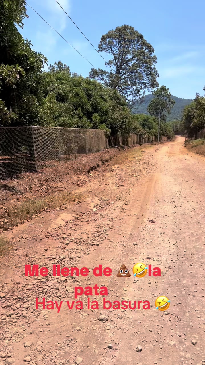 @EL SEÑOR DE LOS PEDOS