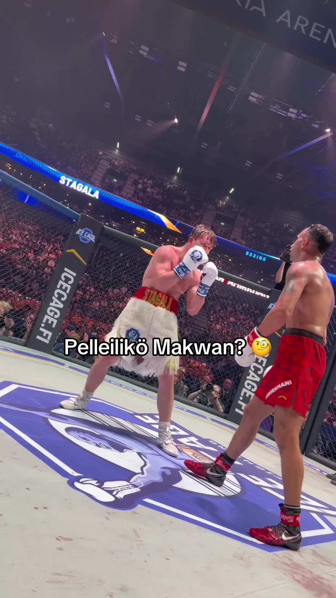 @ICE CAGE FIGHTING