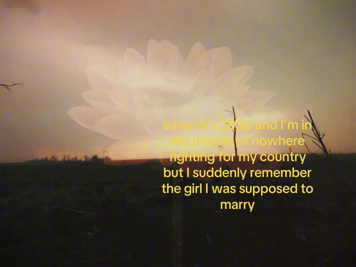 @𝙲𝙰𝙼𝙼™