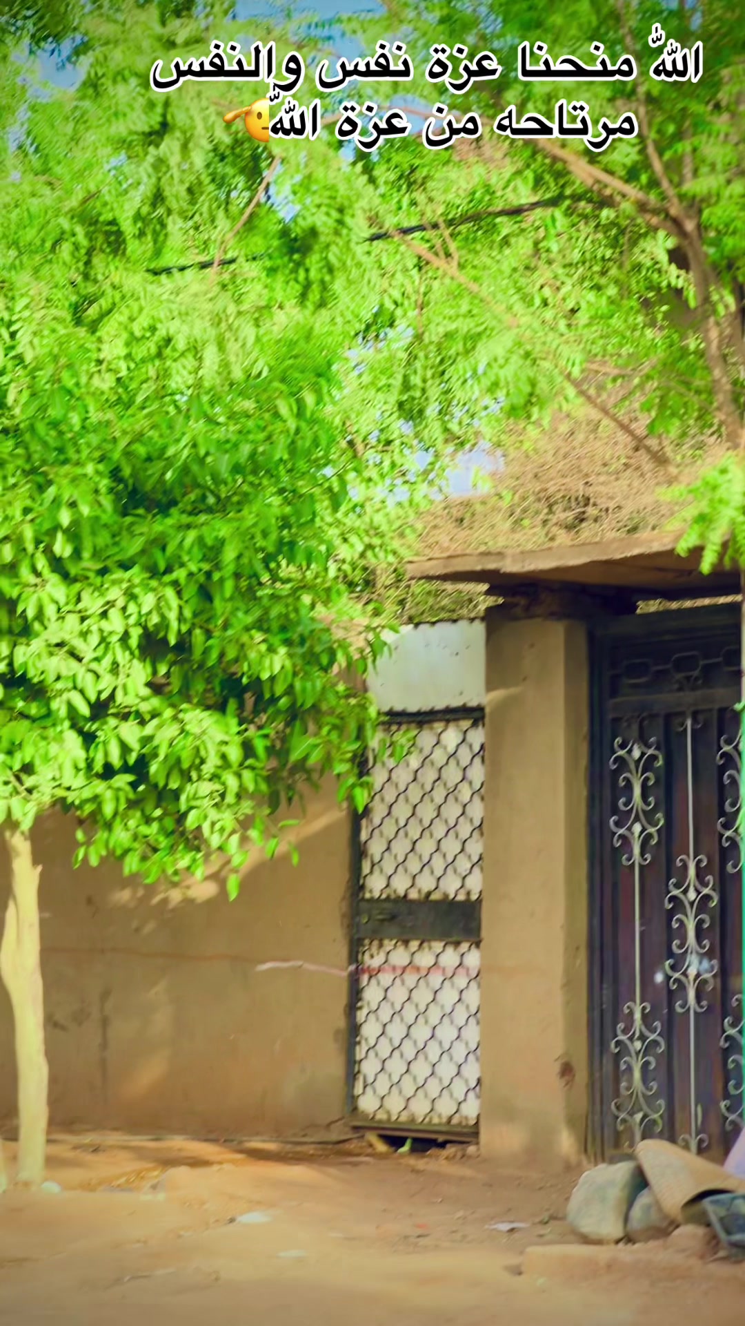 @,ٓاخو ,ٓعموري 919