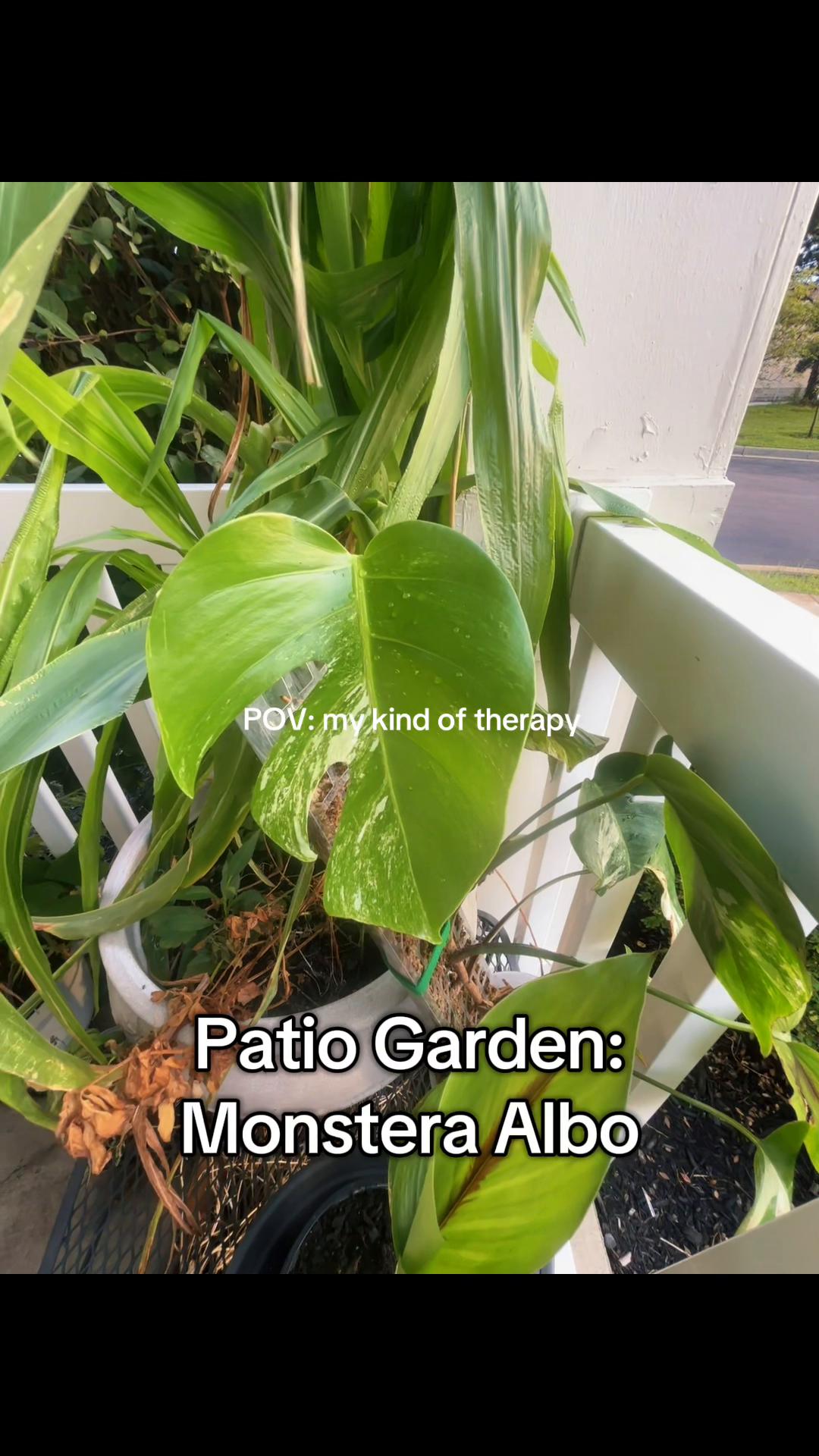 @greengirlgardens
