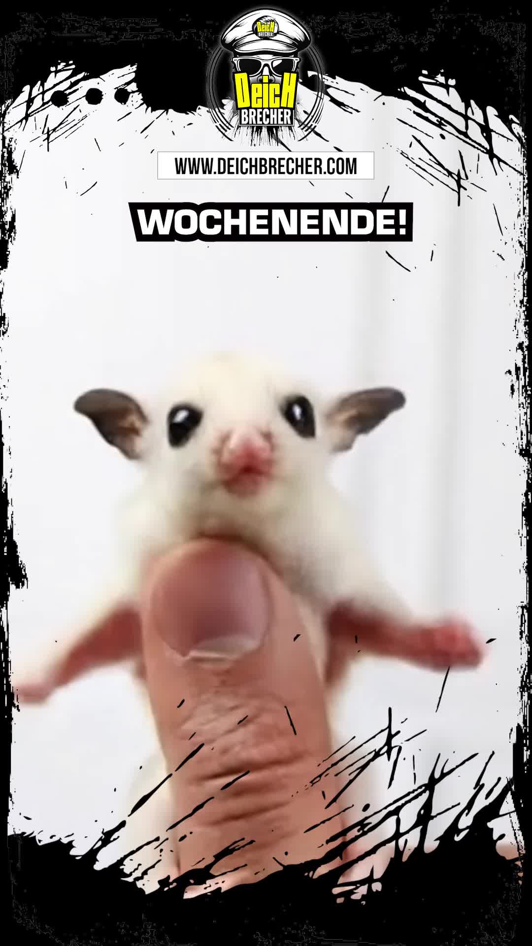 @💣DEICHBRECHER 💣
