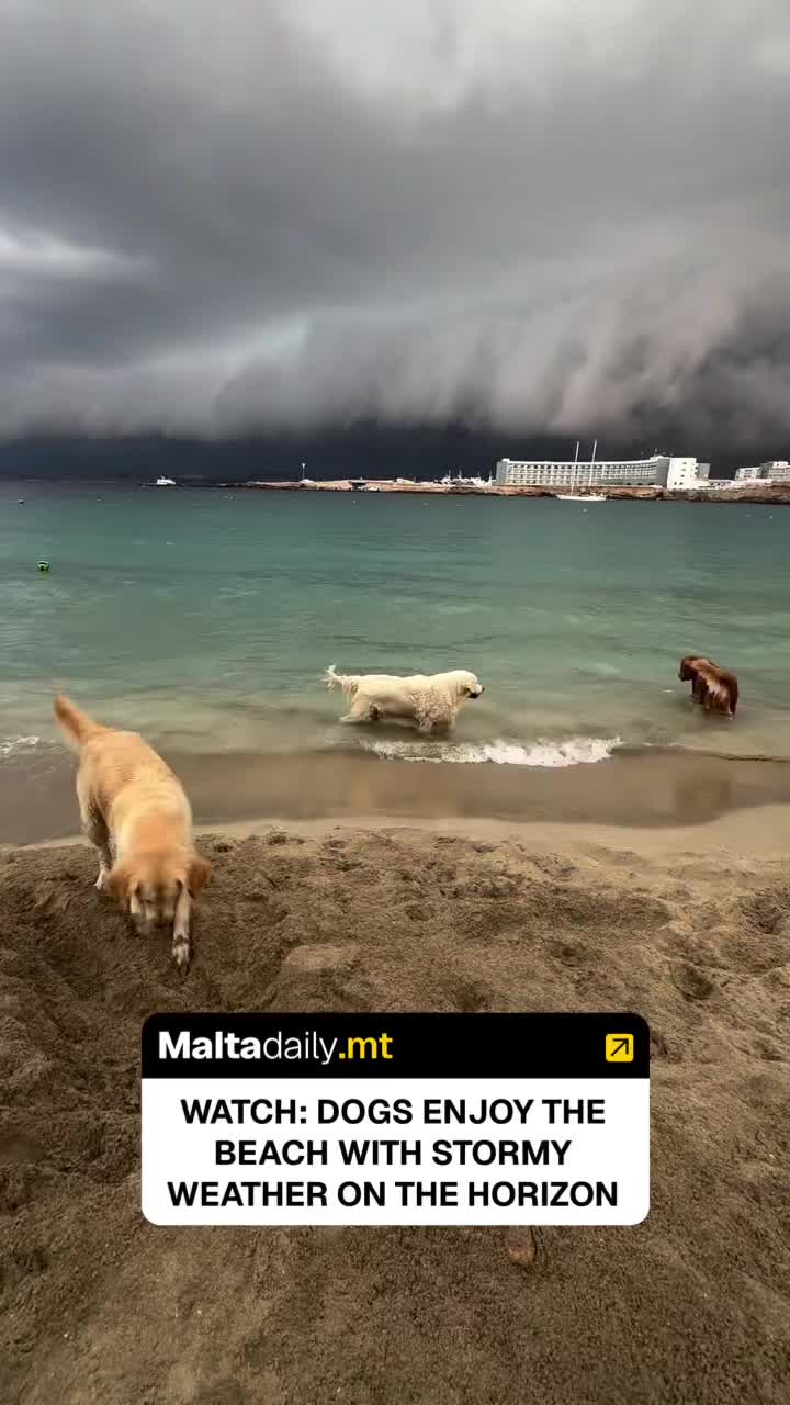 @MaltaDaily.mt