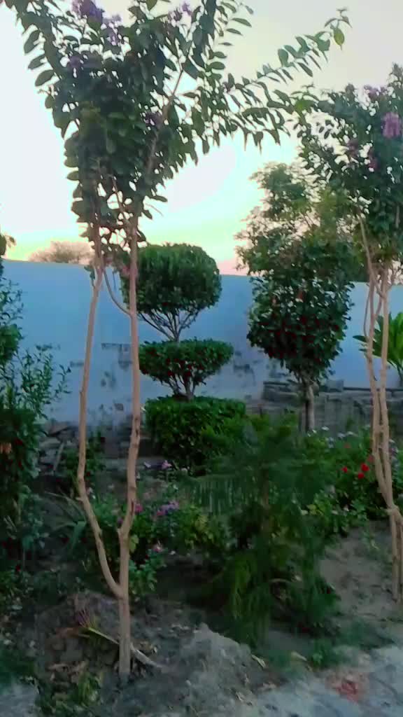 @Usman Dogar Pinda ayla