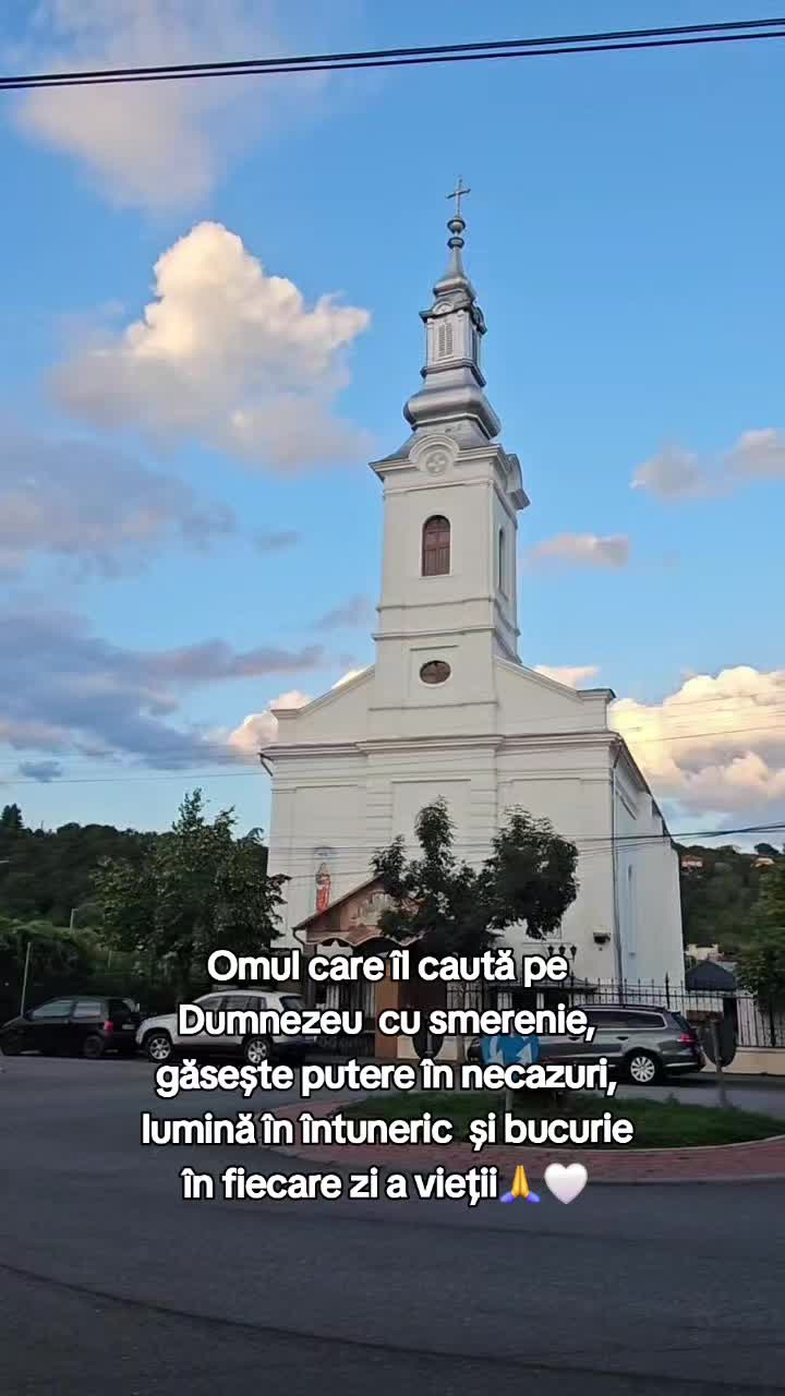 @Nița Foitoș