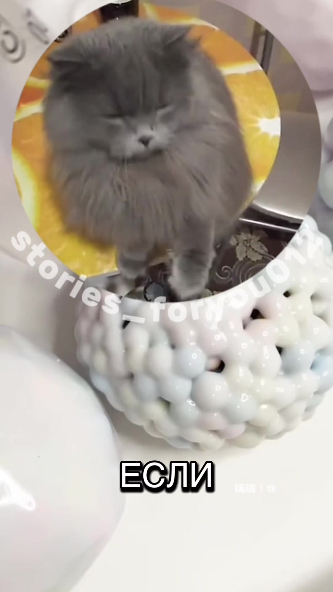 @stories_foryou
