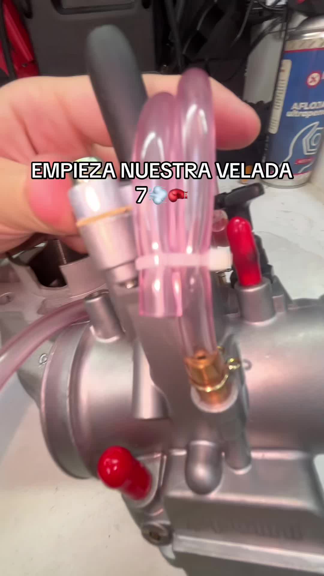 @María Sánchez