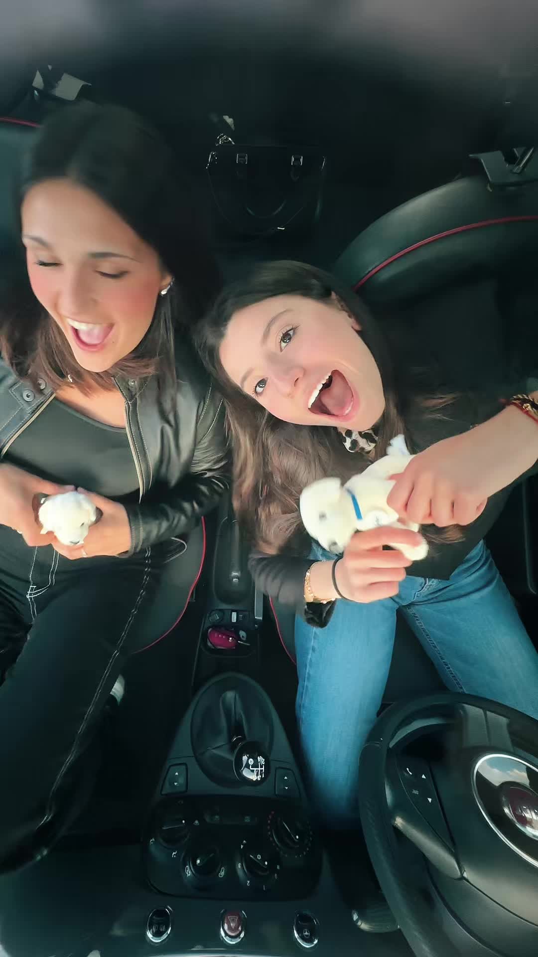 @eleシ