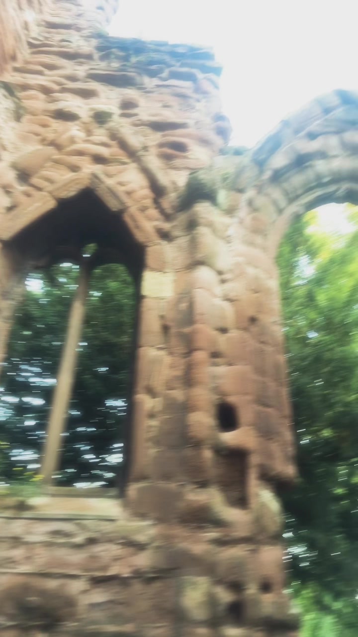 @ᴛᴇss 🕸️