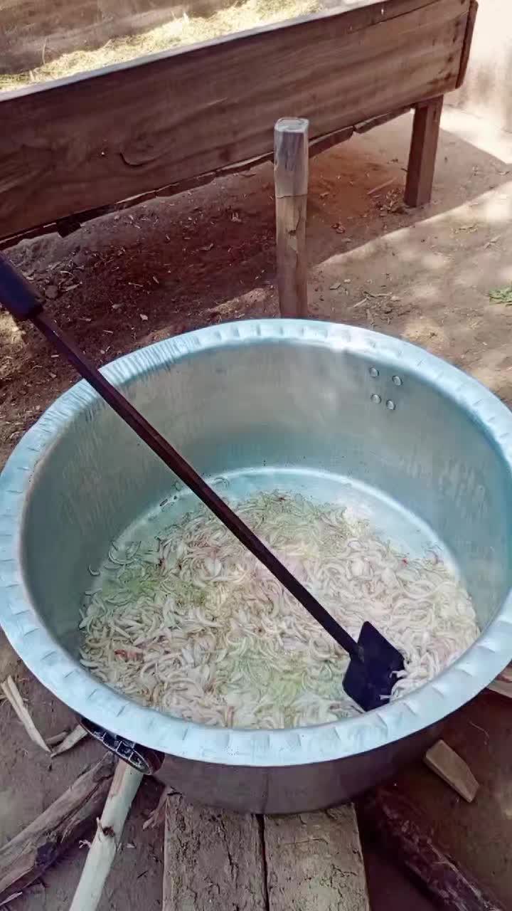 @M.bakhshbijarala