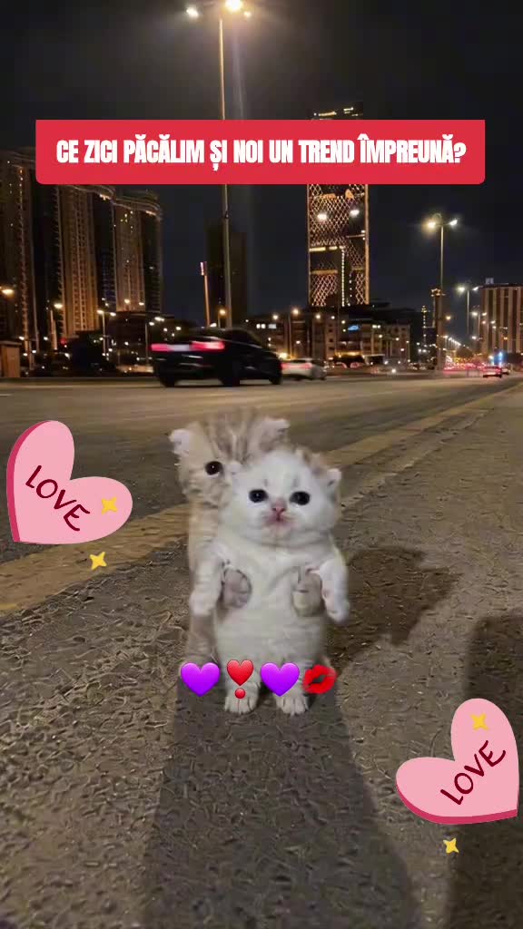@💜Lo❣️ve💜