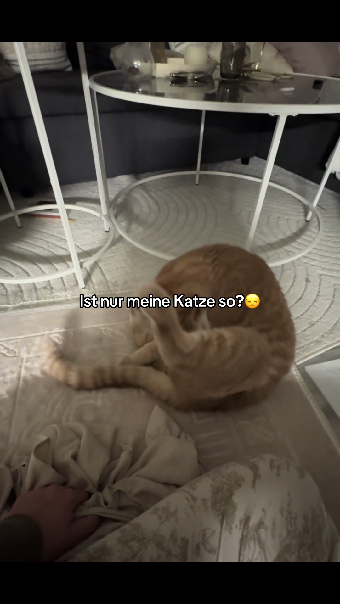 @shqiptarja♎️
