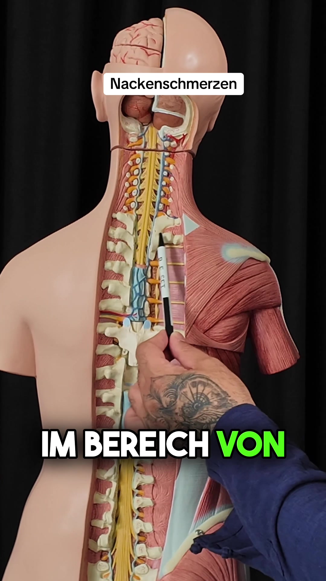 @fuat.de