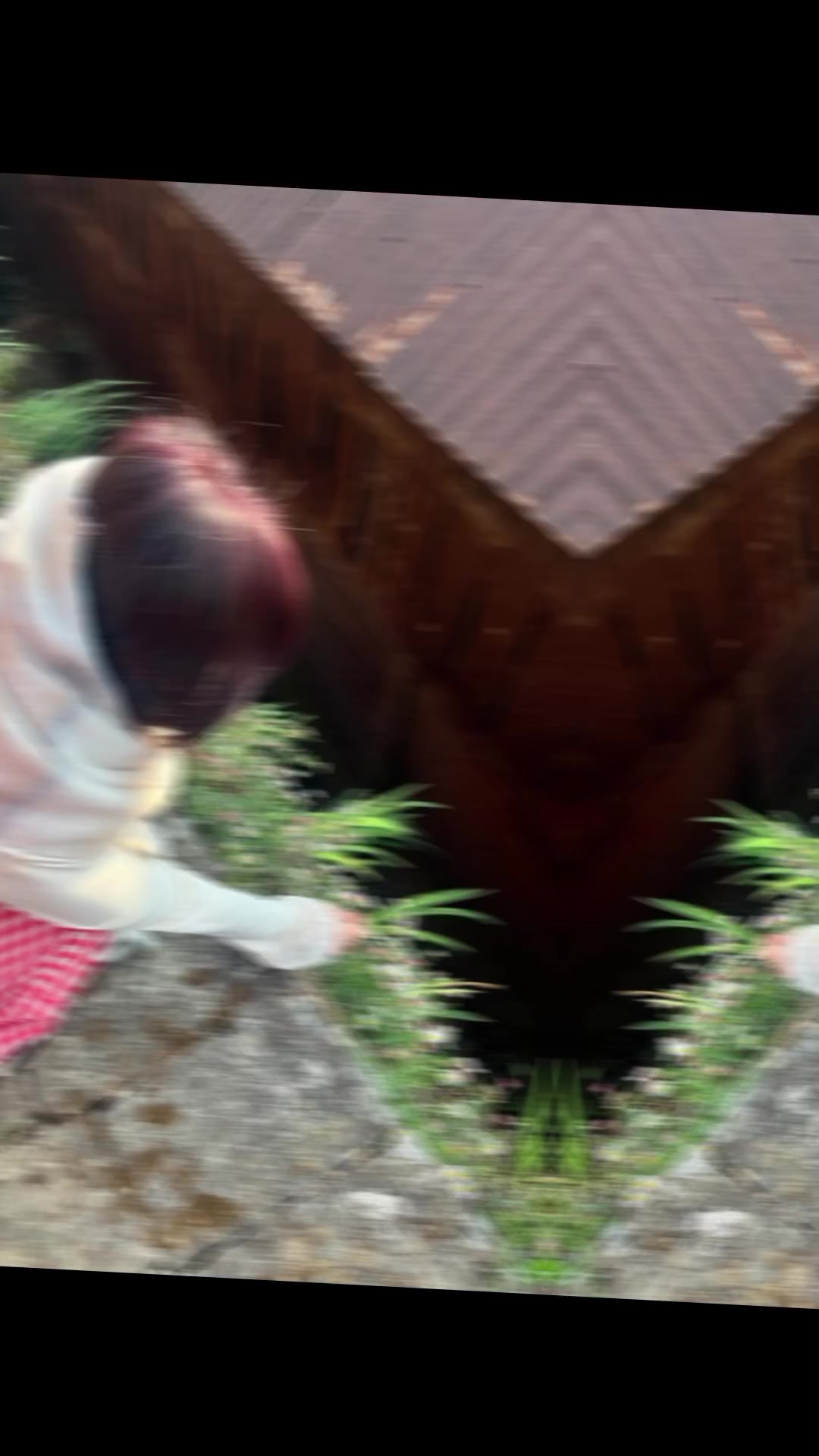 @JuNu_UcHiHa👀🌷🧣