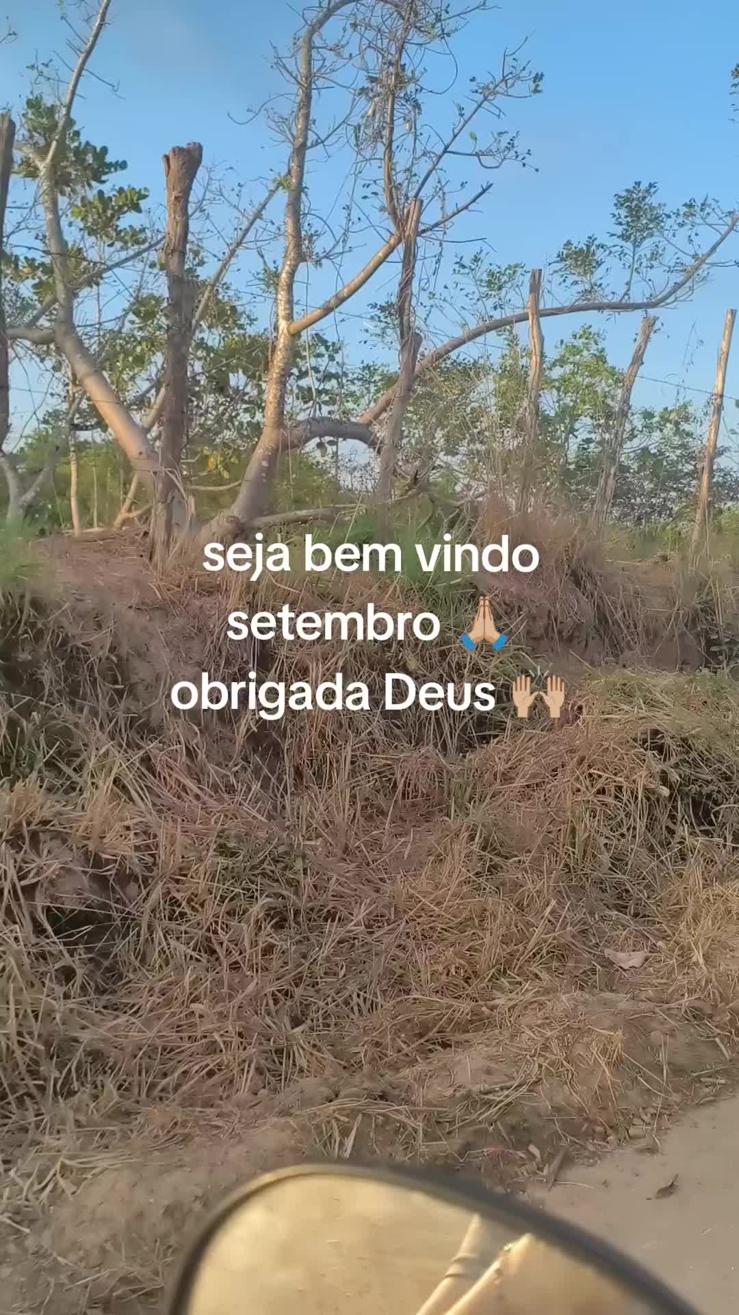 @Viviane Silva
