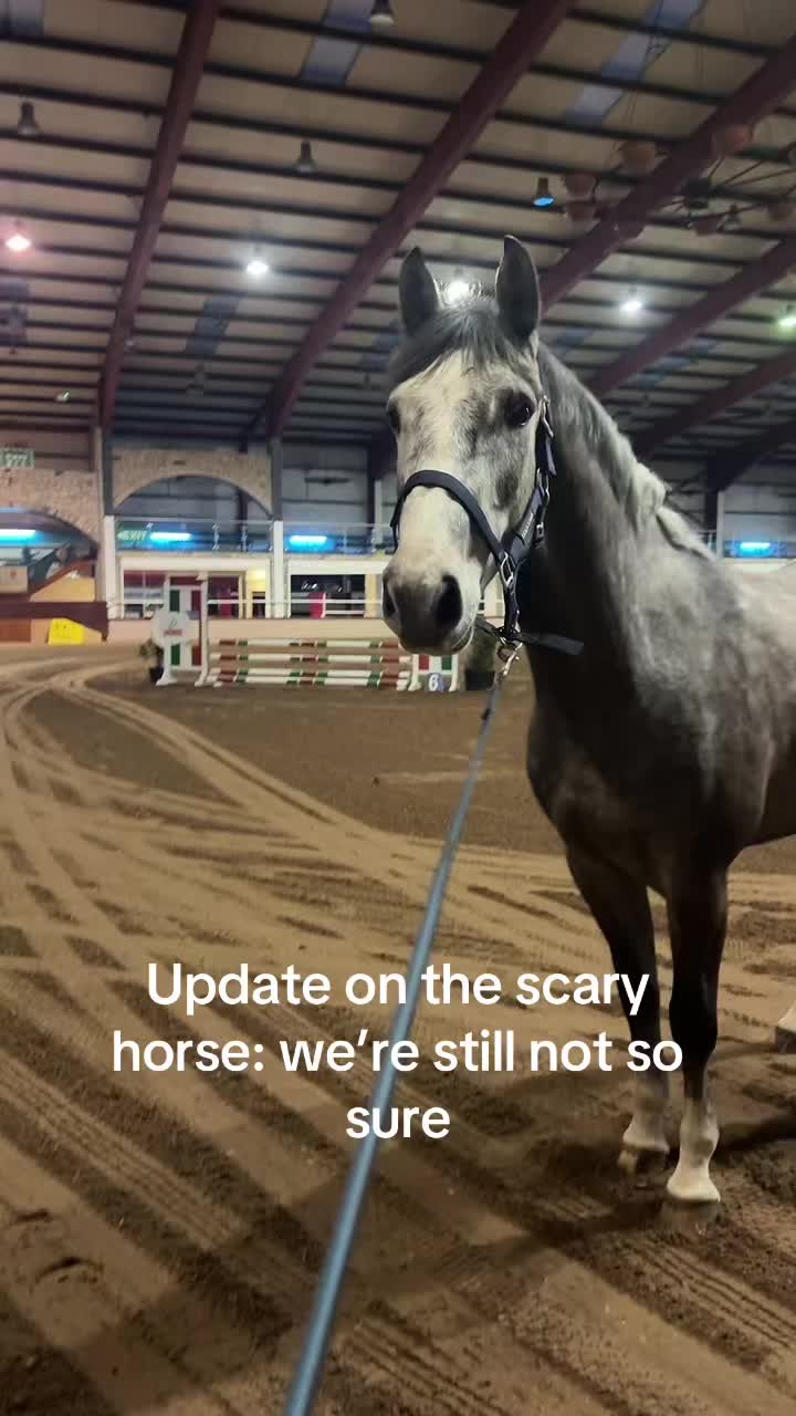 @wendy_and_steeds