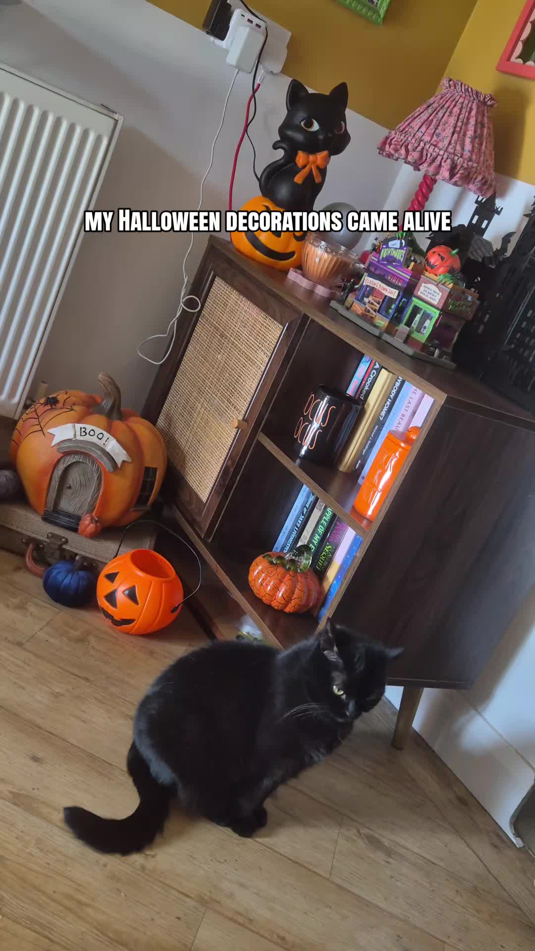 @cloe 🍋🍿🎃