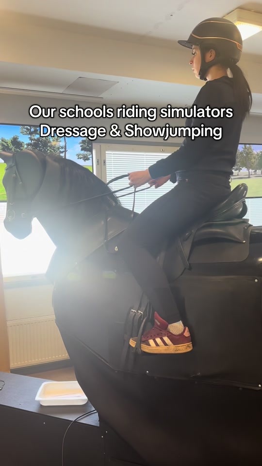 @Sanni Okkolin