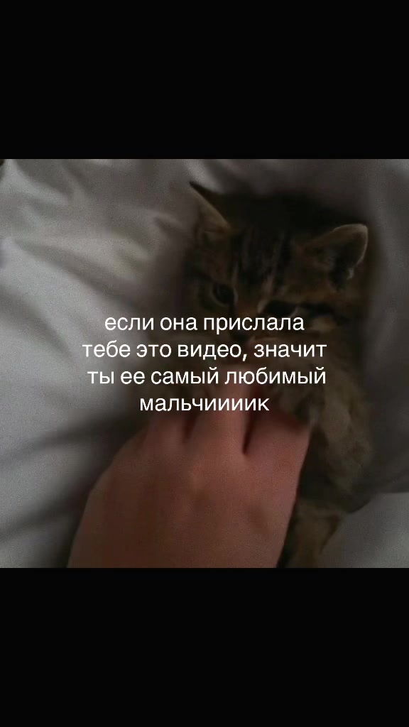 @♡‧₊˚softtiquiet˚₊‧♡
