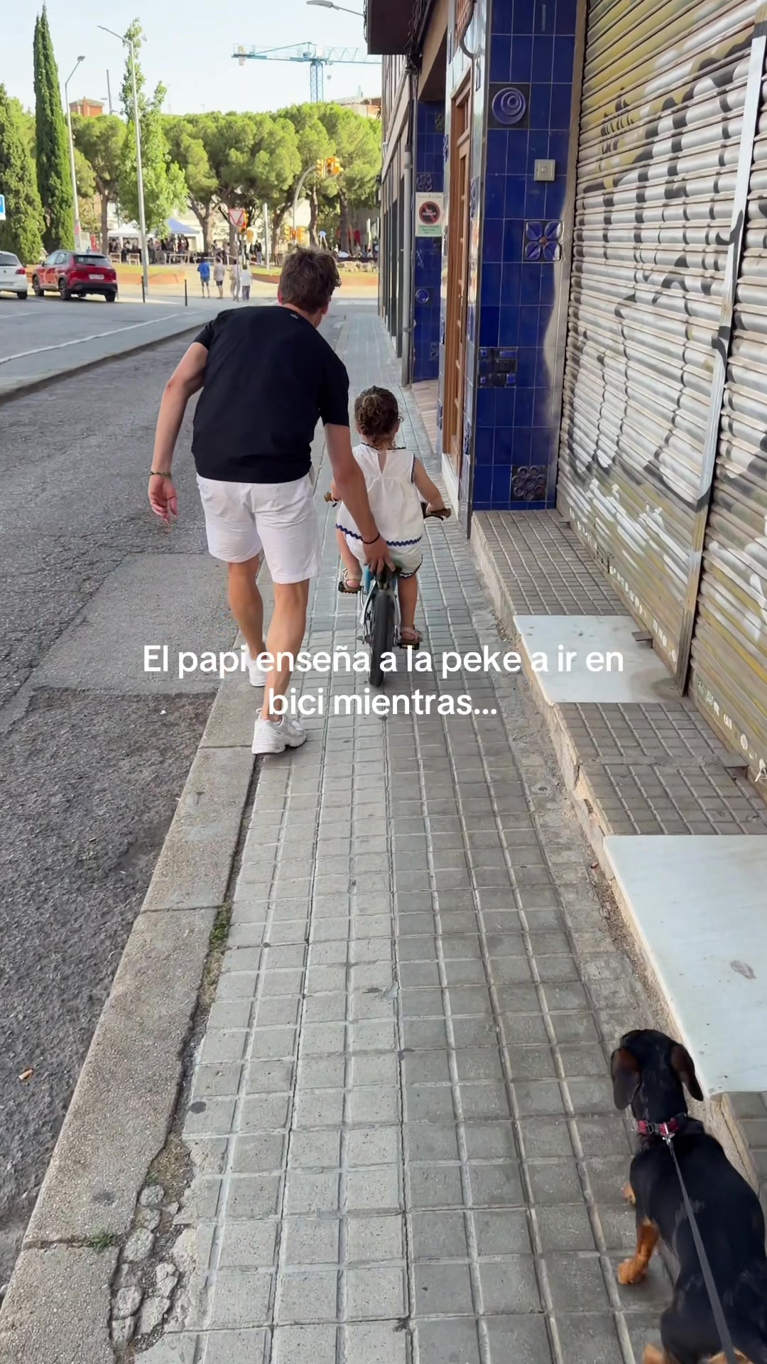 @Bonbonreich