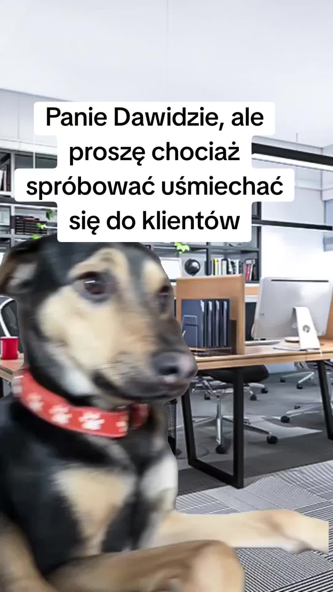 @DG