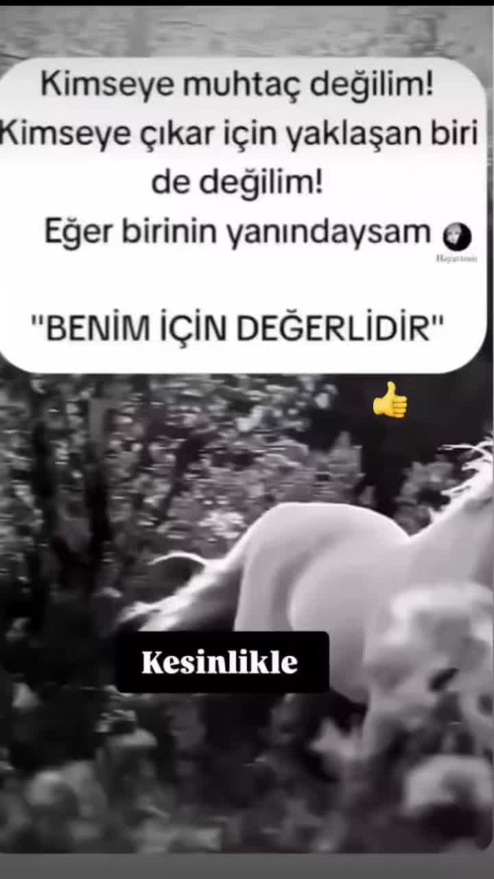 @Sinan