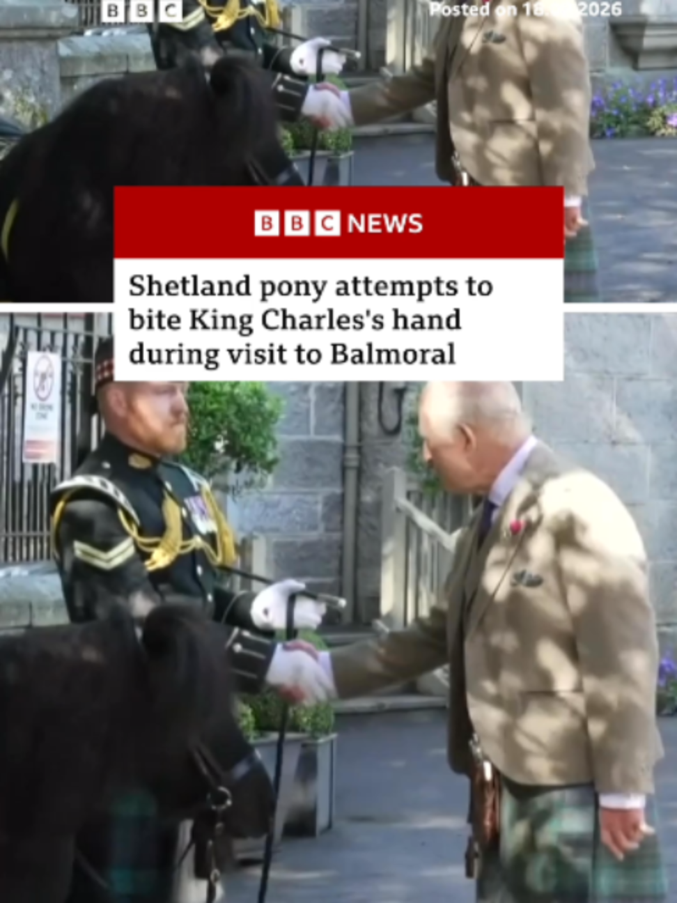 @BBC News