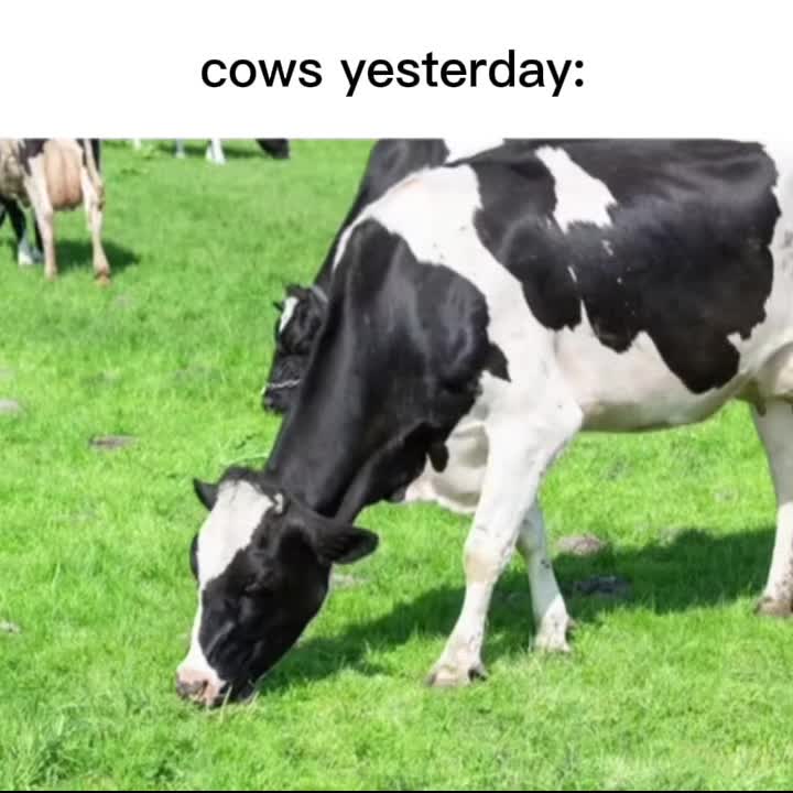 @entityf1