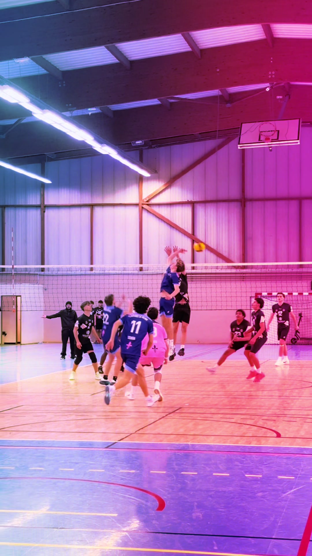 @asbrvolley