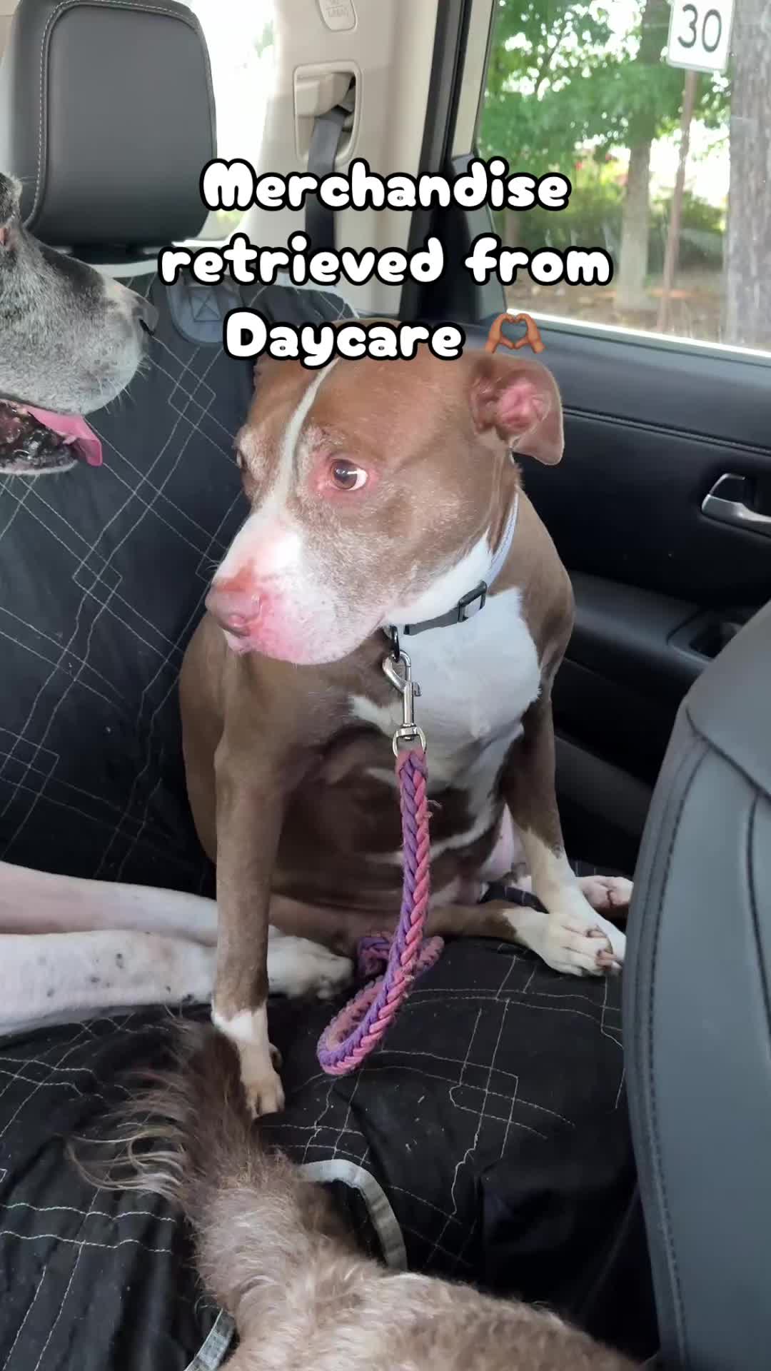 @dem fur kids mum