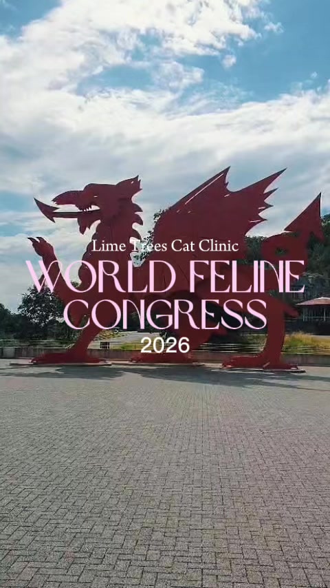 @Lime Trees Vets