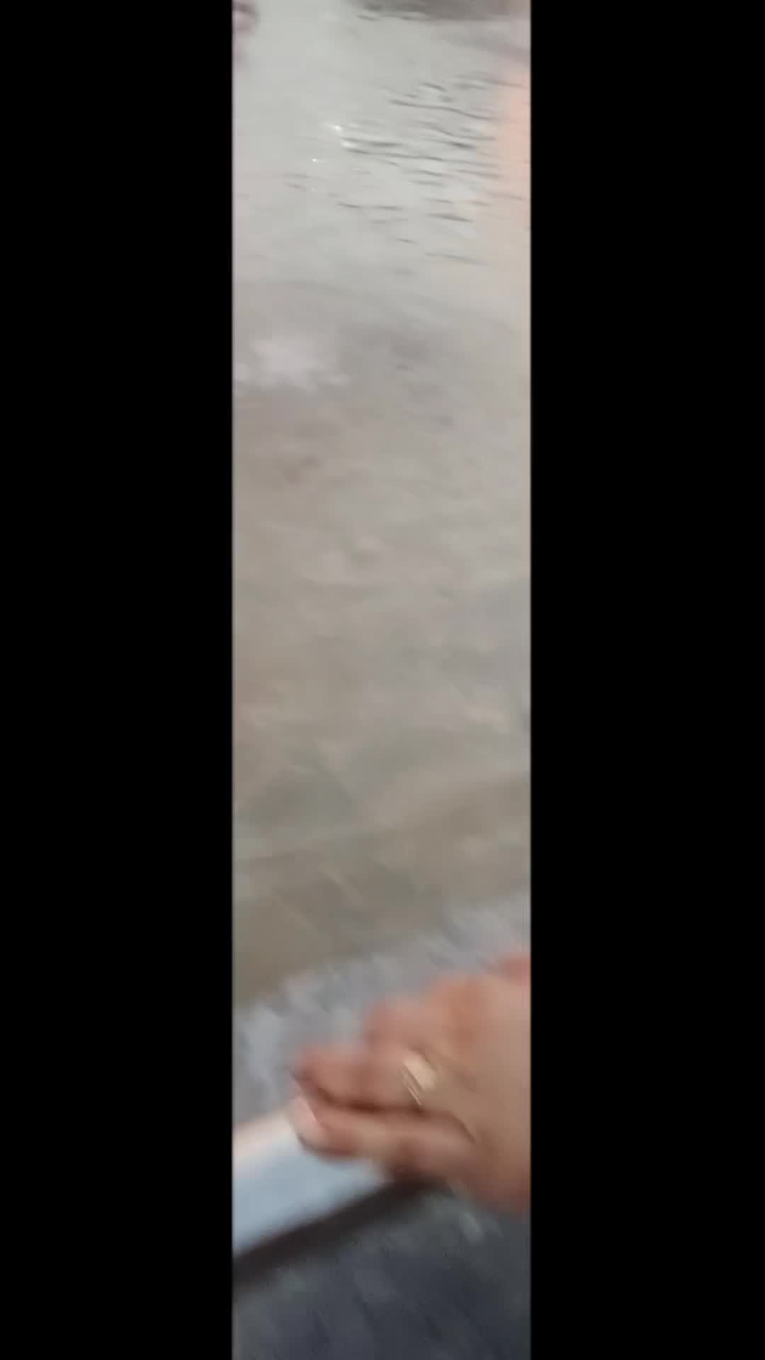 @๐โ
๐ธโ๐ดโ๐ณโ๐ฎโ๐ฆโโ
,๐