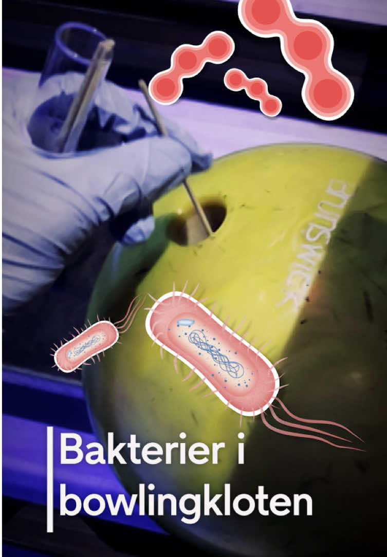 @TV4 Nyheterna