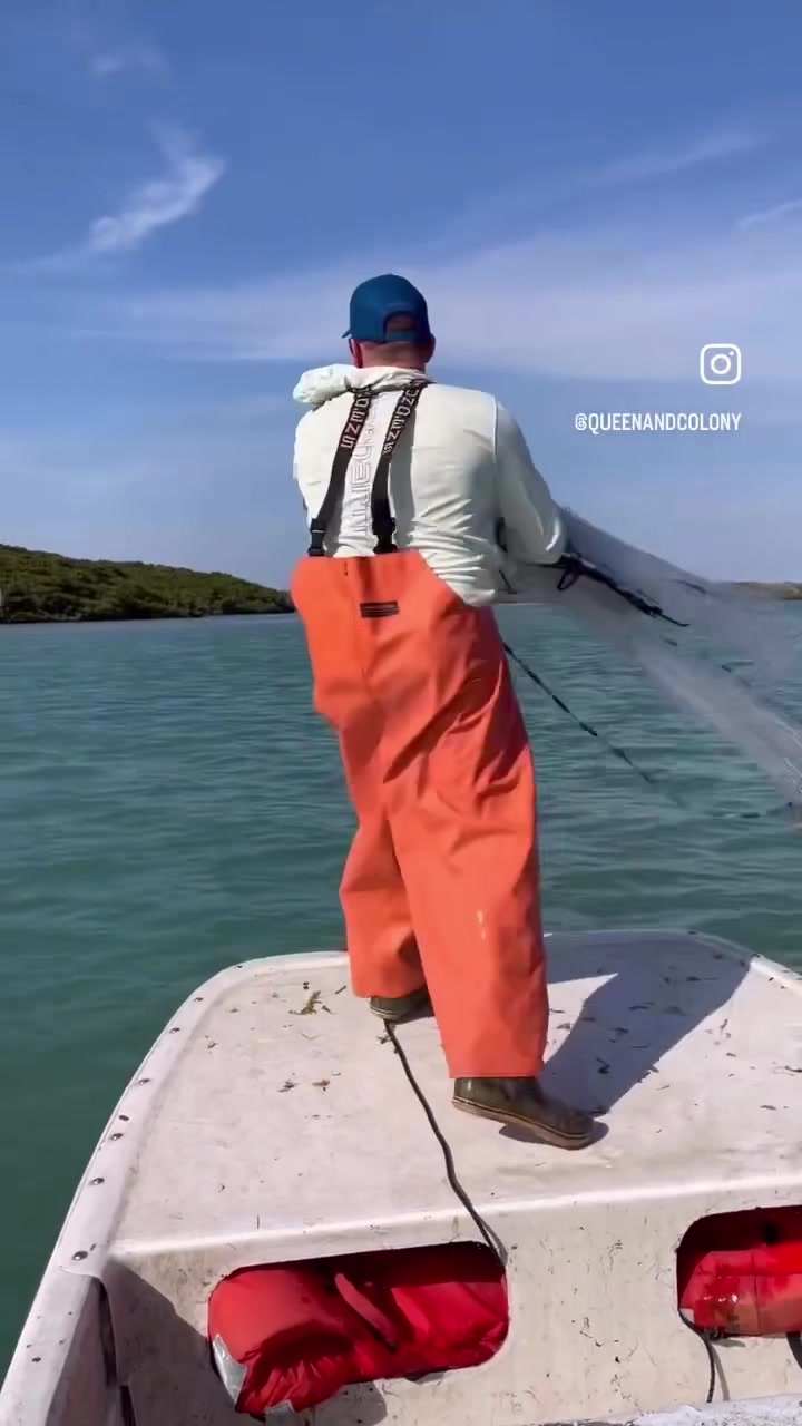 @queenandcolony