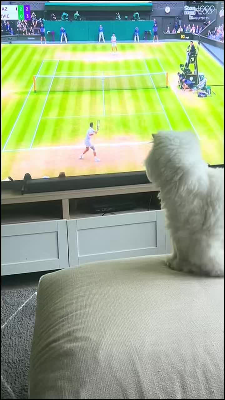 @Tennis Whisper