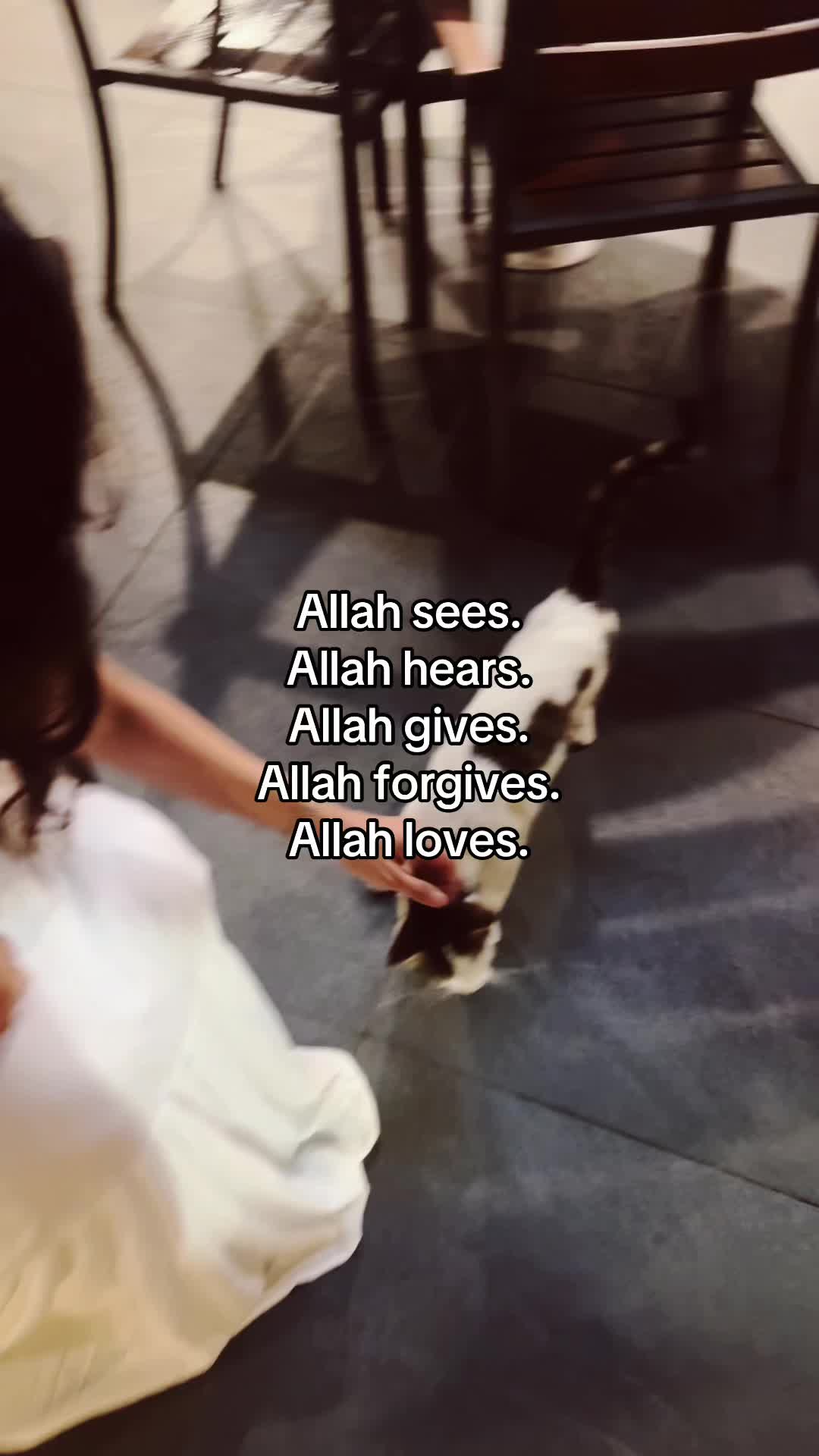 @nazar