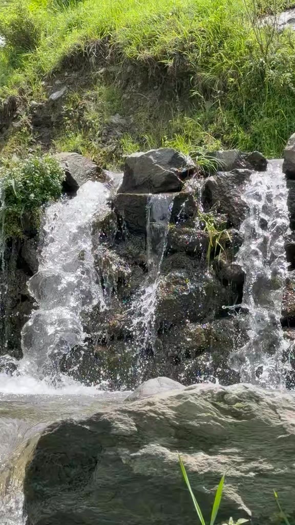 @Hassan Malik9550