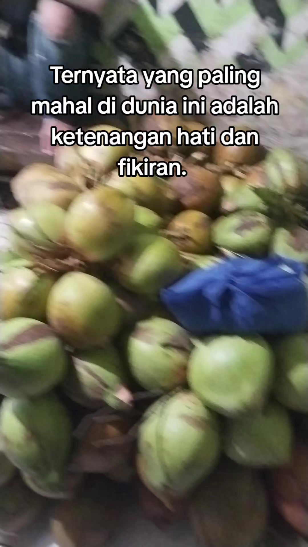 @@BANGKIT_MANDIRI01